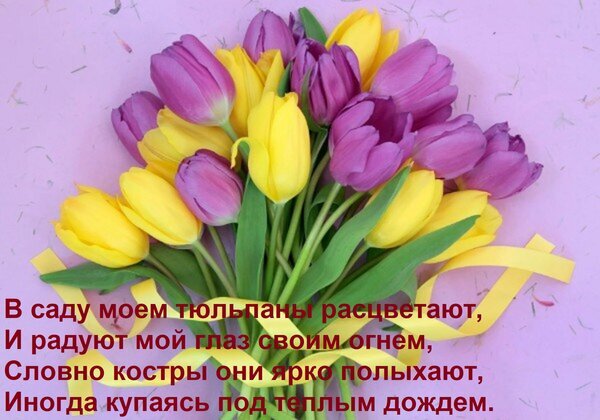 Букет желтых и фиолетовых тюльпанов с поэтическими строками о красоте цветов на розовом фоне. Идеально для весенних открыток и поздравлений. Открытка В саду моем тюльпаны расцветают, И радуют мой глаз своим огнем, Словно костры они ярко полыхают, Ино Красивое художественное изображение букета ярких желтых и фиолетовых тюльпанов на нежно-розовом фоне. На картинке размещен поэтический текст на русском языке, воспевающий красоту цветущих тюльпанов в саду. Изображение сочетает в себе эстетику живой природы и романтичную поэзию, идеально подходя для открыток, поздравлений с весной или вдохновляющих постов в социальных сетях