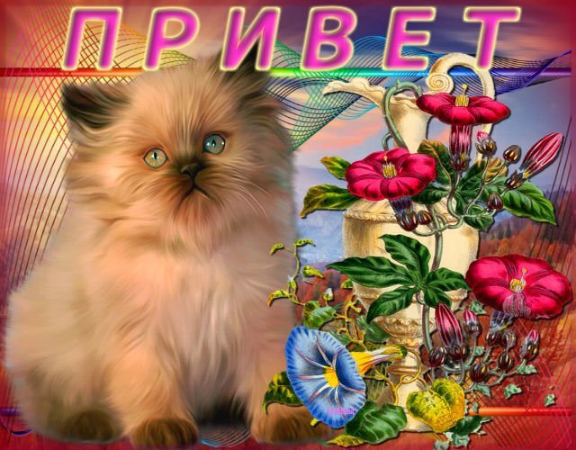 Милый пушистый котенок и яркие цветы на фоне заката с надписью «ПРИВЕТ». Красочная поздравительная открытка для передачи позитива и тепла. Открытка Привет Коллаж в ярком стиле, сочетающий милое изображение пушистого котенка кремового окраса и красочные цветы калибрахоа или ипомеи в декоративной вазе. На фоне виднеется живописный пейзаж с закатным небом и мягкими линиями абстрактного узора. В верхней части изображения расположена крупная надпись «ПРИВЕТ» (с приветствием), выполненная в современном шрифте с градиентом