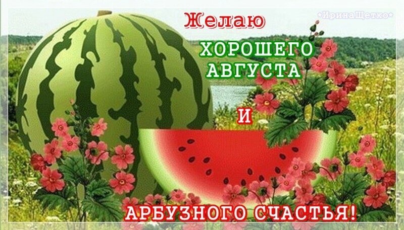 Поздравительная открытка к августу: спелый арбуз и цветы. Надпись: Желаю хорошего августа и арбузного счастья!. Яркое летнее пожелание для друзей. Открытка Август Яркая поздравительная открытка к августу с изображением спелого арбуза и нежных розовых цветов. На картинке крупный зеленый арбуз и аппетитный ломтик красной мякоти на фоне летнего пейзажа с озером. Текст на русском языке гласит: Желаю хорошего августа и арбузного счастья!