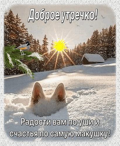 Доброе утро! Зимняя открытка с милыми собачьими ушками, солнцем и пожеланием радости и счастья. Позитивное поздравление для близких и друзей. Анимированная открытка Доброе утречко! Радости вам по уши и счастья по самую макушку! Уютная зимняя открытка с пожеланием доброго утра. На изображении заснеженный лес, яркое восходящее солнце и милые собачьи ушки, выглядывающие из сугроба. На картинке размещен теплый текст на русском языке: «Доброе утречко! Радости вам по уши и счастья по самую макушку!»