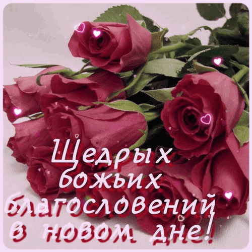 Открытка с розовыми розами и текстом: «Щедрых божьих благословений в новом дне!». Душевное пожелание добра и благодати на каждое утро. Анимированная открытка Щедрых божьих благословений! Красивая поздравительная открытка с букетом пышных розовых роз. На изображении крупным белым шрифтом с контуром на русском языке написано: «Щедрых божьих благословений в новом дне!». Цветы украшены мерцающими розовыми сердечками, создающими атмосферу нежности, тепла и духовного вдохновения
