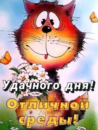 Позитивная открытка с рыжим котом и ромашками. Текст: «Удачного дня! Отличной среды!». Идеально для пожелания хорошего настроения в среду. Открытка Отличной среды Яркая и позитивная поздравительная открытка с изображением милого рыжего котика в мультяшном стиле. Кот с широкой улыбкой держит букет белых ромашек на фоне голубого неба с бабочками. На картинке расположен праздничный текст на русском языке: Удачного дня! Отличной среды!