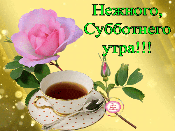 Красивая открытка с розовой розой и чашкой чая. Пожелание нежного субботнего утра для близких. Идеально для доброго настроения в субботу! Анимированная открытка Нежного субботнего утра Красивая поздравительная открытка к субботнему утру. На нежном золотистом фоне изображена пышная розовая роза и чашка ароматного чая в изысканной фарфоровой чашке с золотой каемкой и горошком