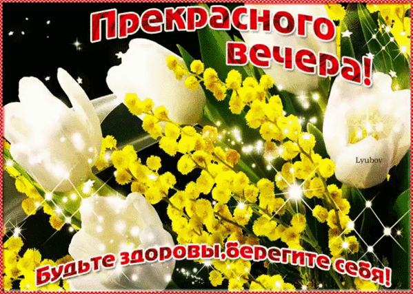 Открытка с белыми тюльпанами и желтой мимозой. Надпись: «Прекрасного вечера! Будьте здоровы, берегите себя!». Красивое пожелание доброго вечера и здоровья. Анимированная открытка Прекрасного вечера! Будьте здоровы! Красивая поздравительная открытка с изображением нежных белых тюльпанов и ярких веточек желтой мимозы на темном фоне. На картинке наложен текст на русском языке: «Прекрасного вечера!» сверху и «Будьте здоровы, берегите себя!» снизу. Изображение украшено сверкающими бликами и искрами, создающими праздничное и теплое настроение