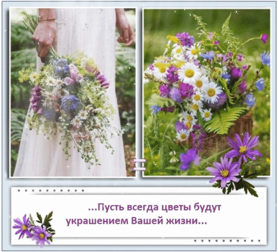 Красивая открытка с полевыми цветами и надписью: «Пусть всегда цветы будут украшением Вашей жизни...». Нежный свадебный букет и пожелание радости. Анимированная открытка ... Пусть всегда цветы будут украшением Вашей жизни... Коллаж с нежным свадебным букетом из полевых цветов и красивой поздравительной надписью на русском языке: «...Пусть всегда цветы будут украшением Вашей жизни...». На левой части изображения представлена невеста в белом платье, держащая пышный букет с ромашками, лавандой и полевыми травами. На правой части — крупный план яркого цветочного композиции Красивая открытка с полевыми цветами и надписью: «Пусть всегда цветы будут украшением Вашей жизни...». Нежный свадебный букет и пожелание радости. Анимированная открытка ... Пусть всегда цветы будут украшением Вашей жизни... Коллаж с нежным свадебным букетом из полевых цветов и красивой поздравительной надписью на русском языке: «...Пусть всегда цветы будут украшением Вашей жизни...». На левой части изображения представлена невеста в белом платье, держащая пышный букет с ромашками, лавандой и полевыми травами. На правой части — крупный план яркого цветочного композиции