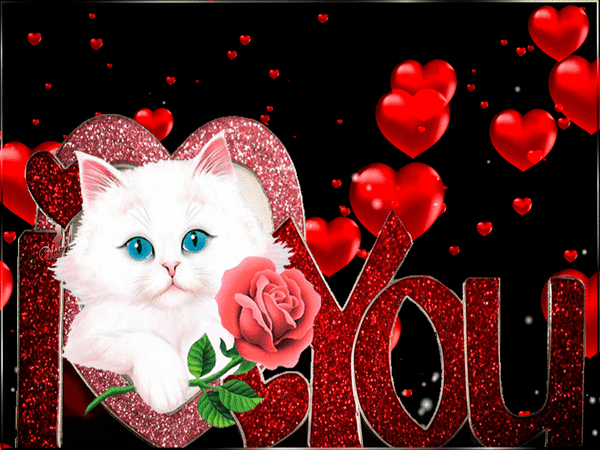 Милый белый котенок с голубыми глазами в сердце с надписью «I Love You» и красной розой на черном фоне. Идеально для романтического поздравления! Анимированная открытка Я тебя люблю! Милая и романтичная цифровая иллюстрация с изображением пушистого белого котенка с голубыми глазами. Котенок расположен внутри большого блестящего сердца, на фоне которого парят красные объемные сердца и надпись «I Love You», выполненная в красно-золотистом глиттерном стиле. Рядом с котенком изображена яркая красная роза с зелеными листьями. Фон черный, что создает контраст и подчеркивает праздничную атмосферу