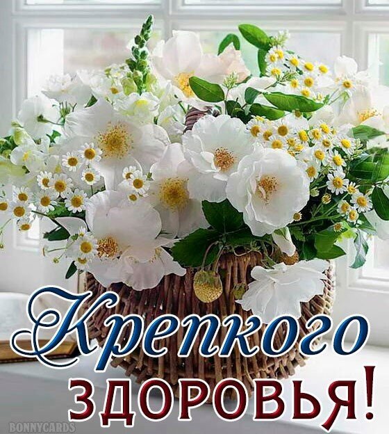 Букет белых цветов и ромашек в корзинке с надписью «Крепкого здоровья!». Красивая открытка-пожелание для отправки близким в мессенджерах. Открытка Крепкого здоровья Красивое поздравительное изображение с пышным букетом белых цветов (вероятно, диких роз или пионов) и желтыми ромашками в плетеной корзинке. На фоне светлого окна композиция выглядит свежей и солнечной. На переднем плане крупная надпись на русском языке: 
