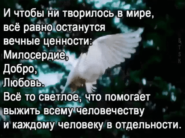 Картинка с цитатой о вечных ценностях: милосердии, добре и любви на фоне летящего белого голубя. Вдохновляющая эстетика и глубокий смысл. Анимированная открытка Чтобы не творилось в мире, все равно останутся вечные ценности... Вдохновляющее изображение с глубокой философской цитатой на темном фоне. На картинке изображен белый летящий голубь — символ мира и чистоты. Текст на русском языке гласит о незыблемости вечных ценностей: милосердия, добра и любви, которые помогают человечеству выжить в любые времена