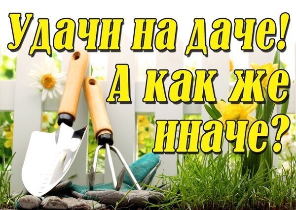 Мотивирующая картинка для дачников с надписью «Удачи на даче!» и изображением садового инвентаря на фоне цветов и травы. Идеально для садоводческих блогов. Открытка Удачи на даче Коллаж для садоводов и дачников с мотивирующей надписью «Удачи на даче! А как же иначе?». На фоне яркого солнечного дня изображен садовый инвентарь: металлическая лопатка и мини-грабельки с деревянными ручками, лежащие на садовых перчатках на фоне зеленой травы и цветов