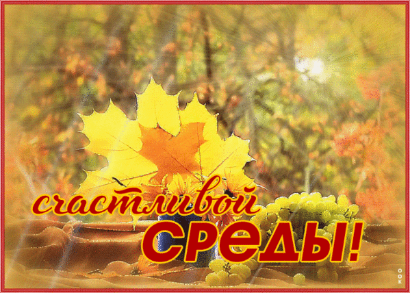 Поздравление с серединой недели: золотой кленовый лист и виноград на фоне осеннего сада. Яркая открытка с надписью «Счастливовой среды!» для соцсетей. Анимированная открытка Счастливой среды Анимированное поздравительное изображение к среде с осенней тематикой. На переднем плане крупным планом изображен ярко-желтый кленовый лист, символизирующий золотую осень. Рядом расположена гроздь спелого зеленого винограда. На фоне — размытый осенний сад в теплых солнечных тонах. По центру нанесена праздничная надпись золотистым шрифтом с красным контуром на русском языке: «Счастливовой среды!»