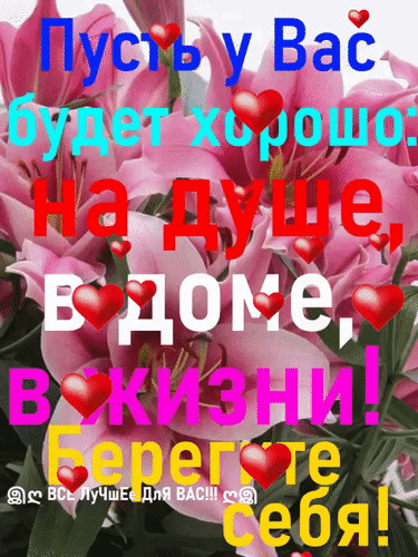 Душевная открытка с розовыми лилиями и пожеланием: Пусть у Вас будет хорошо на душе, в доме и в жизни! Берегите себя!. Красивое изображение для близких. Анимированная открытка Берегите себя Красивая открытка с изображением пышных розовых лилий, украшенная красными сердцами и вдохновляющей цитатой на русском языке: 