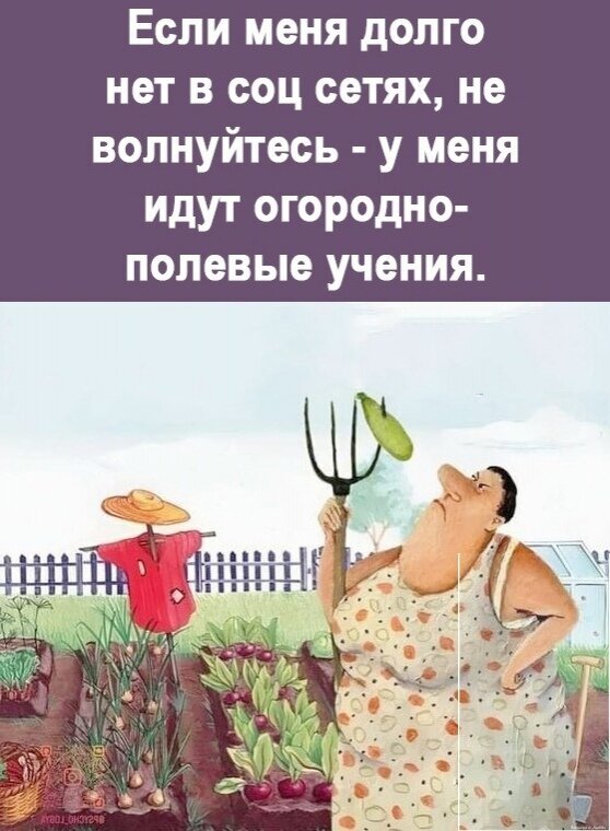 Смешной мем про дачу: Если меня нет в соцсетях, у меня идут огородно-полевые учения. Юмористическая иллюстрация для садоводов и дачников. Открытка Если меня нет в соц сетях Юмористическая картинка (мем) на тему дачного сезона и ухода за огородом. На изображении представлена забавная иллюстрация женщины в саду, которая держит вилы, и текст на русском языке: 