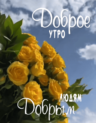 Красивая открытка с букетом желтых роз и надписью «Доброе утро людям добрым». Солнечное пожелание хорошего настроения и прекрасного начала дня. Анимированная открытка Доброе утро добрым людям Красивая и солнечная открытка с пожеланием доброго утра. На изображении представлен пышный букет ярко-желтых роз на фоне голубого неба с легкими облаками. Текст на русском языке гласит: Доброе утро людям добрым
