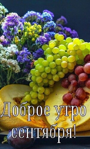 Красивое осеннее поздравление с надписью Доброе утро сентября!. На фото спелый виноград, дыня и яркие осенние цветы. Идеально для пожеланий! Открытка Доброе утро сентября Натюрморт с осенними плодами и цветами. Сочная гроздь зеленого и красного винограда лежит на дольках спелой дыни, а на заднем плане красуется букет ярких фиолетовых и желтых полевых цветов. На изображении наложен красивый текст на русском языке: Доброе утро сентября!