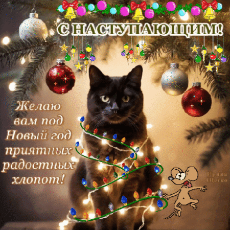 Новогодняя открытка с черным котом и надписью «С наступающим!». Праздничное поздравление с пожеланиями радостных хлопот под Новый год. Анимированная открытка С Наступающим! Праздничная открытка с изображением симпатичного черного кота в новогоднем оформлении. На фоне — ветки елки, блестящие шары и гирлянда. На картинке размещен поздравительный текст на русском языке: «С наступающим! Желаю вам под Новый год приятных радостных хлопот!»