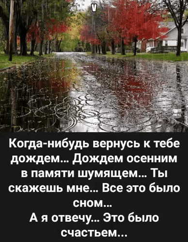 Романтичная осенняя картинка с грустной цитатой о любви, воспоминаниях и счастье на фоне дождя и красных деревьев. Меланхоличное осеннее настроение. Анимированная открытка Когда-нибудь вернусь к тебе дождем... Дождем осенним в памяти шумящем... Ты скажешь мне... Все это было сном... Грустная и романтичная картинка-цитата на фоне осеннего дождя. На изображении запечатлена пустая мокрая дорога, отражающая красные осенние деревья и капли дождя. Текст на русском языке повествует о светлой печали, воспоминаниях о любви и мимолетном счастье, которое сравнивается с осенним дождем