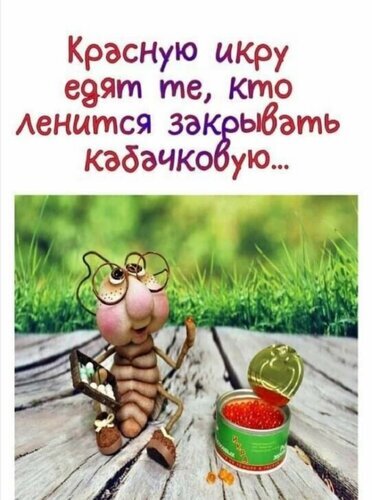 Смешной мем с текстом про красную икру и лень. Юмористическая картинка с персонажем и банкой икры для соцсетей и поднятия настроения. Открытка Красную икру едят те кому лень готовить кабачковую Забавный юмористический мем с персонажем-насекомым в очках, который сидит на деревянном настиле рядом с открытой банкой красной икры. На картинке размещен ироничный текст на русском языке: 