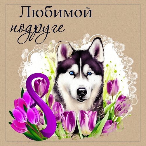 Открытка на 8 Марта «Любимой подруге» с изображением хаски и фиолетовых тюльпанов. Красивое поздравление с Международным женским днем. Открытка Любимой подруге Открытка к 8 Марта с изображением милого хаски и нежных фиолетовых тюльпанов. На картинке красивая надпись на русском языке: «Любимой подруге». Идеальное поздравление для подруги, дочери или коллеги на Международный женский день