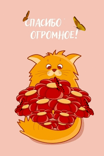Милая открытка с рыжим котом, букетом красных цветов и надписью «СПАСИБО ОГРОМНОЕ!». Идеально для выражения благодарности в цифровом виде. Анимированная открытка Спасибо огромное! Милая и теплая поздравительная открытка с рыжим котом, который держит в лапках большой букет ярко-красных цветов. Над котом парят две бабочки, а сверху написана надпись на русском языке «СПАСИБО ОГРОМНОЕ!»