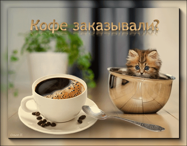 Милый рыжий котенок в чашке рядом с горячим кофе. Уютная картинка с надписью «Кофе заказывали?», идеально для утреннего настроения и соцсетей. Анимированная открытка Кофе заказывали? Уютная и милая композиция, на которой изображен пушистый рыжий котенок, уютно устроившийся в металлической чаше рядом с чашкой горячего черного кофе. На переднем плане видна чашка кофе на блюдце, рассыпанные кофейные зерна и изящная ложка. На фоне — мягкий размытый интерьер с комнатным растением. В верхней части изображения расположена надпись на русском языке: «Кофе заказывали?»