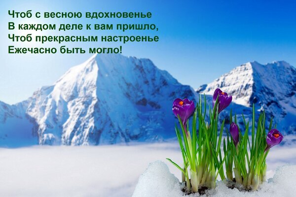 Весенняя открытка с фиолетовыми крокусами на фоне заснеженных гор и пожеланием вдохновения и прекрасного настроения. Открытка Чтоб с весною вдохновенье В каждом деле к вам пришло, Чтоб прекрасным настроенье Ежечасно быть могло Красивая поздравительная открытка к весне. На фоне заснеженных величественных гор и пушистых облаков пробиваются нежные фиолетовые крокусы сквозь снег. На изображении размещен вдохновляющий текст на русском языке, желающий весеннего вдохновения и прекрасного настроения каждый день
