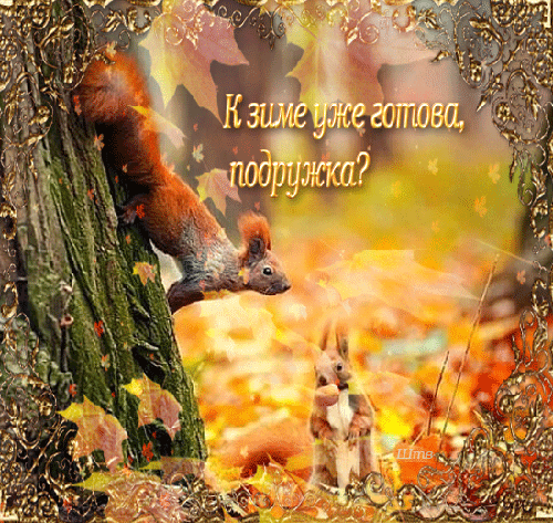Милая осенняя открытка с белкой и зайчиком на фоне золотой осени. Надпись: К зиме уже готова, подружка?. Декоративная рамка и уютная атмосфера. Анимированная открытка К зиме уже готоваподружка Осенняя открытка с милой рыжей белкой, карабкающейся по дереву, и маленьким зайчиком на фоне золотистого осеннего леса. Изображение украшено декоративной золотистой рамкой с узорами и надписью на русском языке: К зиме уже готова, подружка?