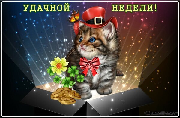 Милая открытка с котенком в шляпе и золотыми монетами. Пожелание «Удачной недели!» с символами везения: клевером и яркими искрами. Подходит для соцсетей. Открытка Удачной недели! Милая и праздничная открытка с изображением очаровательного котенка в красной шляпе с бантом. Котенок сидит внутри коробки, рядом с ним четырехлистный клевер и золотые монеты, символизирующие удачу. Фон украшен сияющими искрами и лучами света. В верхней части расположена поздравительная надпись на русском языке «УДАЧНОЙ НЕДЕЛИ!»