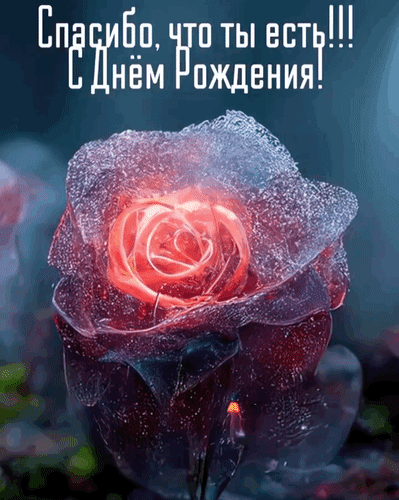 Красивая открытка с розой и надписью «Спасибо, что ты есть!!! С Днем Рождения!». Трогательное поздравление для близких в высоком качестве. Анимированная открытка Спасибо, что ты есть! С днем рождения! Красивая поздравительная открытка к дню рождения с изображением изящной розы, покрытой каплями росы. На картинке расположен трогательный текст на русском языке: «Спасибо, что ты есть!!! С Днем Рождения!». Изображение выполнено в глубоких розово-синих тонах с эффектом мерцания, что создает романтическую и праздничную атмосферу