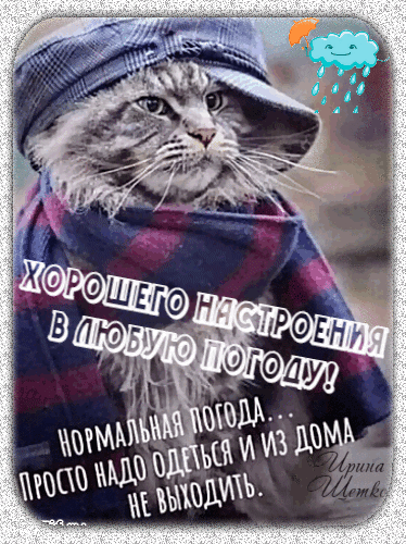 Смешная дождливая картинка с котом в шляпе и шарфе и пожеланием хорошего настроения в любую погоду. Юмористическая открытка для поднятия настроения. Анимированная открытка Хорошего настроения в любую погоду! Смешная картинка с пушистым серым котом, одетым в синюю шляпу и полосатый шарф. На изображении размещен юмористический текст на русском языке: «Хорошего настроения в любую погоду! Нормальная погода... просто надо одеться и из дома не выходить». Картинка дополнена милой графикой облака с дождем и зонтиком