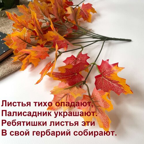 Искусственные осенние листья клена (оранжевые и красные) для декора, флористики и создания осенних композиций. Высокое качество и реалистичный вид. Открытка Листья тихо опадают, палисадник украшают. Ребятишки листья эти в свой гербарий собирают. Декоративные искусственные листья клена осенних оттенков (оранжевый, красный, желтый) для флористики и интерьерного декора. Качественная имитация живой природы с детализированной текстурой прожилок. Идеально подходят для создания осенних композиций, украшения праздников, фотозон и дополнения гербария в интерьере