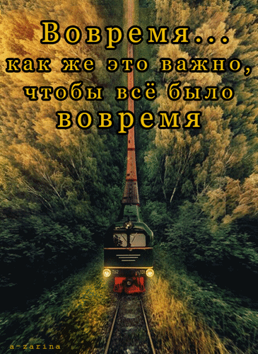 Атмосферное фото поезда в осеннем лесу с мотивирующей цитатой о важности своевременности. Эстетика осени и философии времени. Анимированная открытка Как же это важно, чтобы все было вовремя Эстетичное изображение с видом сверху на проезжающий через густой осенний лес поезд. На фоне золотистой листвы и уходящих вдаль рельсов размещен вдохновляющий текст на русском языке: «Вовремя... как же это важно, чтобы все было вовремя». Атмосферное фото передает чувство меланхолии, течения времени и важности момента