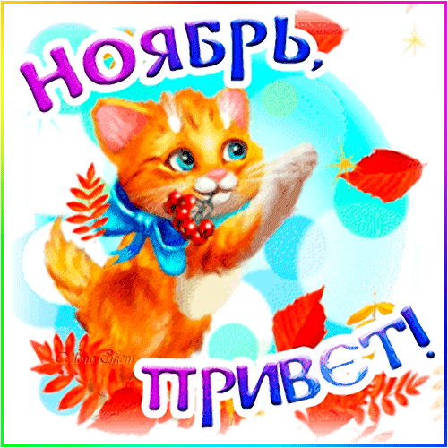 Милая открытка к ноябрю с рыжим котенком и осенними листьями. Надпись: «ноябрь, ПРИВЕТ!». Идеально для осенних поздравлений и пожеланий в соцсетях. Анимированная открытка Ноябрь, привет! Яркая и эмоциональная открытка к ноябрю с изображением милого рыжего котенка. Котенок с голубым бантом окружен осенними красными листьями на светлом фоне. Вверху крупная надпись «ноябрь,», внизу — приветствие «ПРИВЕТ!»