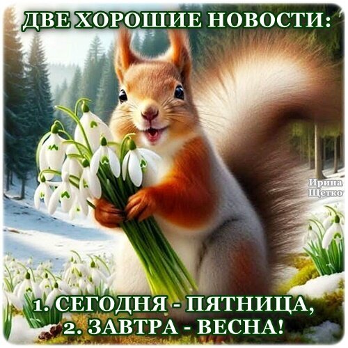 Милая белка с подснежниками: «Две хорошие новости: сегодня пятница, а завтра — весна!». Вдохновляющая картинка для поднятия настроения и предвкушения весны. Открытка Последний день зимы Милое изображение рыжей белки, которая держит букет первоцветов (подснежников) на фоне весеннего леса. На картинке расположен вдохновляющий текст на русском языке: «Две хорошие новости: 1. Сегодня — пятница, 2. Завтра — весна!». Изображение передает радостное настроение, ожидание тепла и предвкушение выходных
