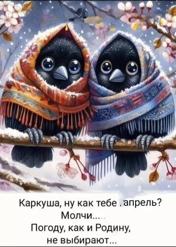 Две милые птички в теплых шалях сидят на заснеженной ветке. Ироничная картинка с надписью о погоде и Родине. Милая иллюстрация для соцсетей и мемов. Открытка Каркуша, ну как тебе апрель Милая и ироничная цифровая иллюстрация с двумя очаровательными черными птичками, укутанными в теплые узорчатые шали. Птицы сидят на заснеженной ветке среди цветущих деревьев, создавая контраст весеннего цветения и зимнего холода. В нижней части изображения размещена философская надпись на русском языке о том, что погоду и Родину не выбирают