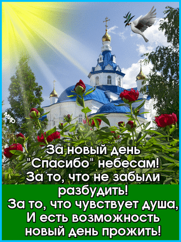 Духовная открытка с православным храмом, красными розами и голубями. Вдохновляющие слова благодарности за новый день и жизнь. Красивое утреннее пожелание. Анимированная открытка За новый день Спасибо небесам! За то, что не забыли разбудить! Красивая поздравительная открытка с изображением православного храма с золотыми куполами под яркими солнечными лучами. На переднем плане пышно цветут красные розы, создавая атмосферу умиротворения и надежды. В небе парит белый голубь, символизирующий мир и Святой Дух. На картинке размещен вдохновляющий текст на русском языке о благодарности небесам за новый день, возможность чувствовать и жить