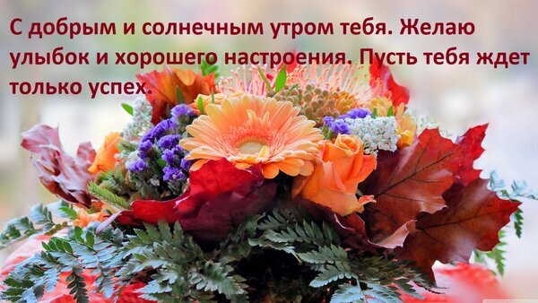 Открытка «С добрым утром!» с ярким букетом оранжевых гербер и роз. Пожелание улыбок, хорошего настроения и успеха в теплых осенних тонах. Открытка С добрым и солнечным утром тебя. Желаю улыбок и хорошего настроения. Пусть тебя ждет только успех. Красивая поздравительная открытка с ярким букетом осенних цветов. На изображении крупным планом представлены оранжевые герберы, розы и сезонная листва в теплых тонах. Сверху наложен текст на русском языке: «С добрым и солнечным утром тебя. Желаю улыбок и хорошего настроения, Пусть тебя ждет только успех»