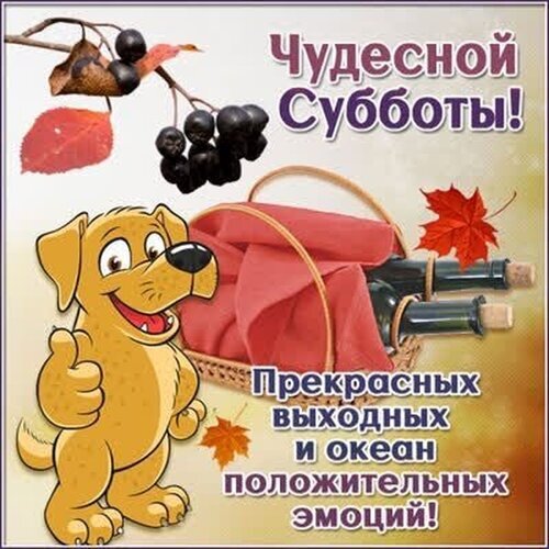 Поздравление с субботой: веселый пес, корзина для пикника и пожелания прекрасных выходных и океана положительных эмоций. Яркая открытка для настроения! Открытка Чудесной субботы! Прекрасных выходных! Яркая поздравительная картинка к субботе с мультяшным дружелюбным псом, который показывает большой палец вверх. На фоне изображена корзина с красной тканью и бутылками вина, осенние листья и ягоды. Надписи на русском языке: Чудесной субботы! и Прекрасных выходных и океан положительных эмоций!