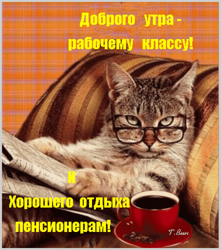 Доброе утро! Мем с котом в очках: пожелания хорошего дня рабочему классу и отличного отдыха пенсионерам. Забавная открытка для WhatsApp и соцсетей. Анимированная открытка Доброго утра - рабочему классу! И хорошего отдыха пенсионерам! Забавный и добрый мем с котом в очках, который читает газету и отдыхает с чашкой кофе. На изображении надпись: «Доброго утра — рабочему классу! И хорошего отдыха пенсионерам!». Идеально подходит для отправки в мессенджерах (WhatsApp, Viber) как позитивное утреннее пожелание, открытка для поднятия настроения или тематическая картинка для соцсетей