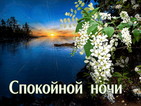 Живописный закат над озером с цветущими белыми цветами и надписью «Спокойной ночи». Красивая картинка для добрых пожеланий и спокойного вечера. Анимированная открытка Спокойной ночи Красивый и умиротворяющий пейзаж с закатом над спокойной водной гладью. На переднем плане — пышные ветки цветущего кустарника с белоснежными цветами, которые эффектно контрастируют с золотистыми лучами уходящего солнца. На фоне — силуэты деревьев и мягкое освещение вечернего неба. В нижней части изображения расположена надпись «Спокойной ночи», выполненная элегантным шрифтом