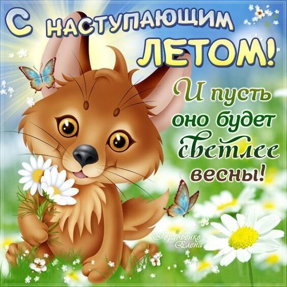 Милая открытка с котенком, ромашками и бабочками. Текст: С наступающим летом! И пусть оно будет светлее весны!. Красочное летнее поздравление для близких. Открытка С наступающим летом! Красочная праздничная открытка к началу лета. На изображении запечатлен милый мультяшный котенок (или зверек) каштанового цвета с большими выразительными глазами, окруженный нежными белыми ромашками и летающими голубыми бабочками. На фоне — солнечное небо и зеленая трава. Крупный текст на русском языке гласит: 