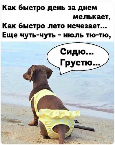Смешной мем: грустный пес в желтом купальнике на пляже грустит об уходящем лете. Иллюстрация летней меланхолии и юмора с собаками. Открытка За уходящий июль Забавный и меланхоличный мем с изображением грустного коричневого пса, сидящего на пляже спиной к зрителю. Пес одет в желтый купальник в белый горошек. Рядом находится текстовое облако с фразой «Сидю... Грустю...», а сверху расположен текст о том, как быстро пролетают летние дни и исчезает лето