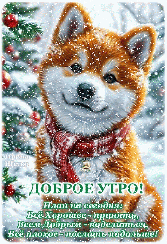Милая открытка с улыбающимся щенком сиба-ину в красном шарфе. Надпись: «Доброе утро! План на сегодня: Все Хорошее — принять...». Позитивное зимнее пожелание! Анимированная открытка Доброе утро! Милая открытка с изображением пушистого щенка породы сиба-ину в зимнем пейзаже. Щенок в красном шарфе радостно улыбается на фоне заснеженной елки с красными шарами. На картинке красуется праздничный текст на русском языке: «ДОБРОЕ УТРО! План на сегодня: Все Хорошее — принять, Всем Добрым — поделиться, Все плохое — послать подальше!»