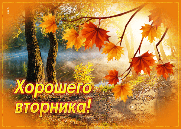 Осенняя открытка с кленовыми листьями и пожеланием «Хорошего вторника!». Солнечный осенний лес, золотая листва и теплое настроение для доброго утра. Анимированная открытка Вторник Красочное осеннее изображение с яркими кленовыми листьями на фоне солнечного леса. На картинке виден золотистый свет, пробивающийся сквозь деревья, и надпись на русском языке «Хорошего вторника!». Идеально подходит для отправки в мессенджерах и социальных сетях в качестве доброго пожелания в осенний вторник