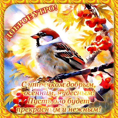 Доброе утро! Красивая осенняя открытка с птичкой и ягодами. Теплое пожелание чудесного, нежного и прекрасного осеннего утра для ваших близких. Анимированная открытка Доброе утро! Красочная поздравительная открытка с изображением птички, сидящей на ветке среди осенних ягод. На картинке написан теплый текст на русском языке: 