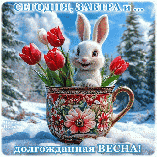 Милая открытка с белым кроликом и красными тюльпанами в чашке на фоне снежного леса. Поздравление с долгожданной весной для друзей и близких. Анимированная открытка Скоро весна! Красивая праздничная открытка к приходу весны. На изображении милый белый кролик, выглядывающий из изящной цветочной чашки с яркими красными тюльпанами. Фон представляет собой заснеженный зимний лес под голубым небом, символизируя переход от зимы к весне. Надпись на русском языке гласит: 