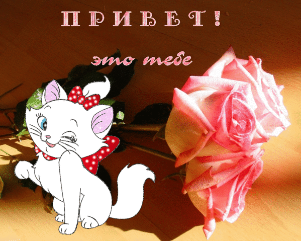 Милая открытка с белым котенком и розовой розой. Надпись: «ПРИВЕТ! это тебе». Идеально для дружеского приветствия и поднятия настроения! Анимированная открытка Привет! это тебе Милая и яркая поздравительная открытка, на которой изображен белый мультяшный котенок с красным бантом в горошек и крупная розовая роза. Сверху нанесена надпись на русском языке: «ПРИВЕТ! это тебе»