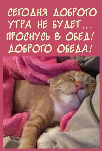 Смешная открытка с рыжим спящим котом: «Сегодня доброго утра не будет... Проснись в обед! Доброго обеда!». Юмор и уют для хорошего настроения! Открытка Сегодня доброго утра не будет Забавная юмористическая картинка-открытка с рыжим котом, сладко спящим под одеялом. На картинке расположен текст на русском языке: «Сегодня доброго утра не будет... Проснись в обед! Доброго обеда!». Изображение передает атмосферу ленивого утра, уюта и ироничного настроения