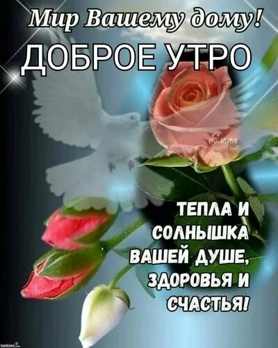 Открытка «Доброе утро!» с розовой розой и белым голубем. Пожелание мира, тепла, здоровья и счастья вашему дому и душе. Красивое утреннее приветствие. Открытка Доброе утро Красивая поздравительная открытка с пожеланиями доброго утра. На изображении представлена нежная розовая роза в цвету, бутоны и летящий белый голубь на светлом фоне, символизирующий мир и чистоту. На картинке размещен текст на русском языке: «Мир Вашему дому! ДОБРОЕ УТРО, ТЕПЛА И СОЛНЫШКА ВАШЕЙ ДУШЕ, ЗДОРОВЬЯ И СЧАСТЬЯ!»