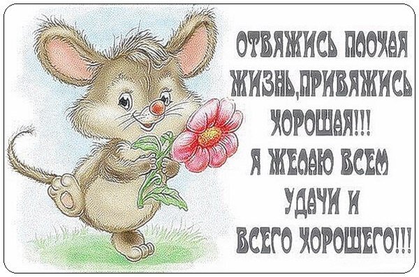 Доброе пожелание удачи с милым мышонком и цветами. Открытка с текстом: «Отвяжись плохая жизнь, привяжись хорошая!!!». Позитив и вдохновение для близких. Открытка Я желаю всем удачи... Милая и позитивная открытка с изображением мультяшного мышонка, который держит в лапках красивый розовый цветок. На картинке размещен вдохновляющий текст на русском языке: «Отвяжись плохая жизнь, привяжись хорошая!!! Я желаю всем удачи и всего хорошего!!!»