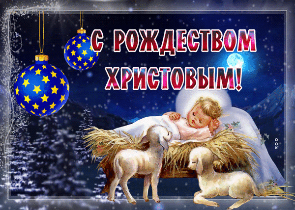 Рождественская открытка с изображением младенца Иисуса, ягнят и надписью «С Рождеством Христовым!». Красивый зимний пейзаж, звезды и елочные шары. Анимированная открытка С рождеством христовым Праздничная поздравительная открытка к Рождеству Христову. На изображении представлена классическая рождественская сцена: младенец Иисус, мирно спящий в яслях на соломе, в окружении двух маленьких белых ягнят. Фон украшен зимним ночным пейзажем с заснеженными елями, мерцающими звездами и яркими синими елочными шарами с золотыми звездами. В верхней части композиции расположена крупная надпись на русском языке: «С РОЖДЕСТВОМ ХРИСТОВЫМ!»